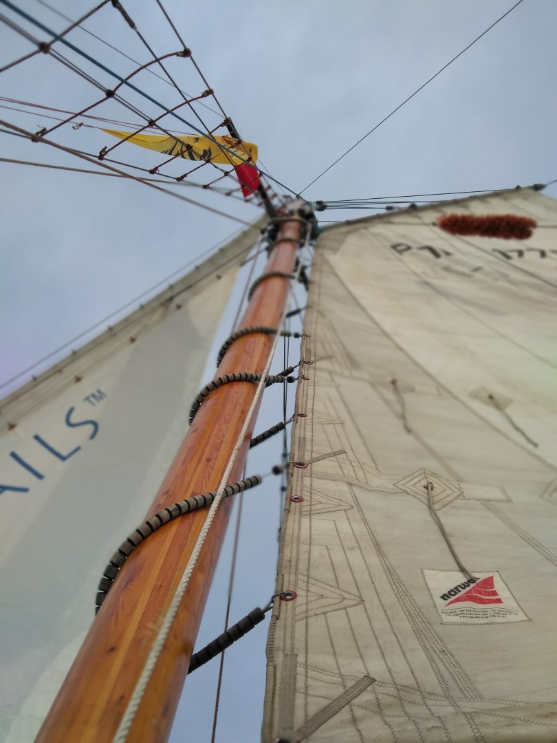 morskie szwedaki,bryza h