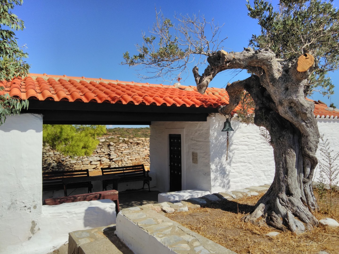 morskie szwedaki,rejsy morskie,rejsy stażowe,rejsy kapitanskie,rejsy weekendowe