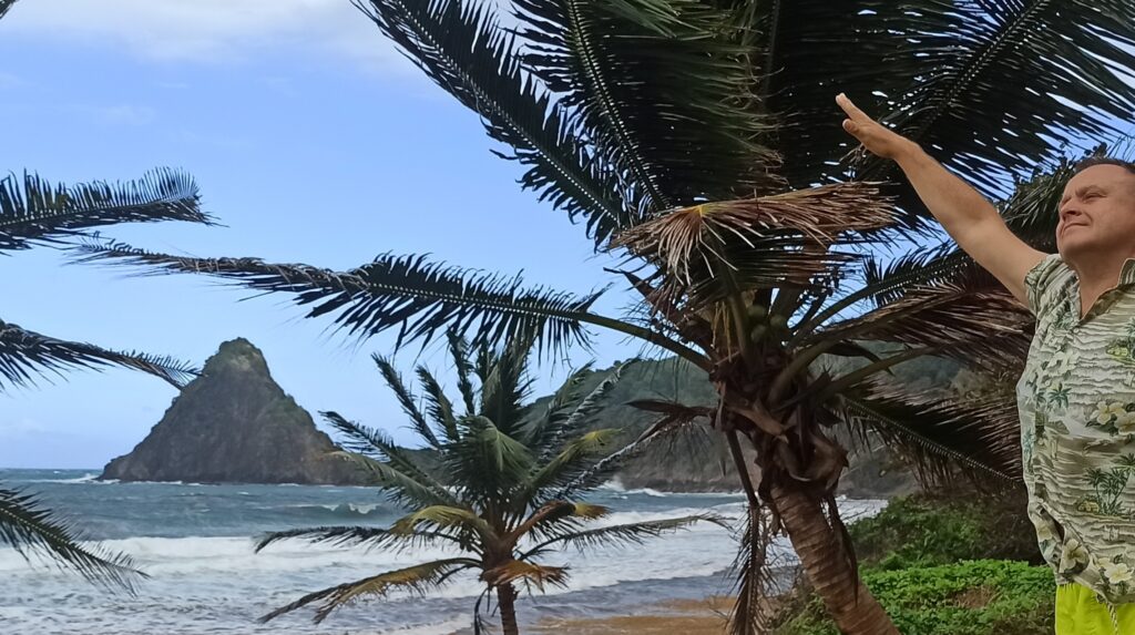 rejsy na karaibach,morskie szwedaki