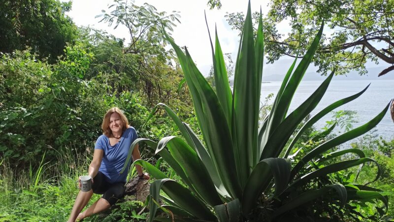 rejsy na karaibach,morskie szwedaki