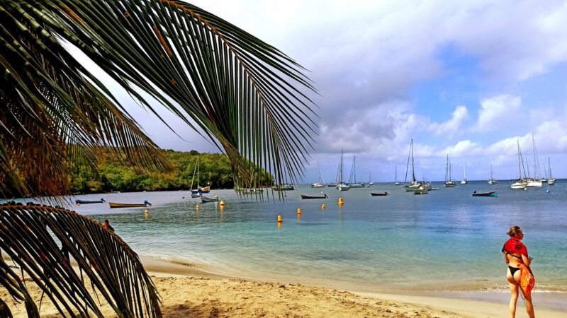 rejsy na karaibach,morskie szwedaki