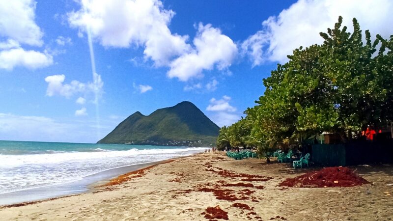 rejsy na karaibach,morskie szwedaki