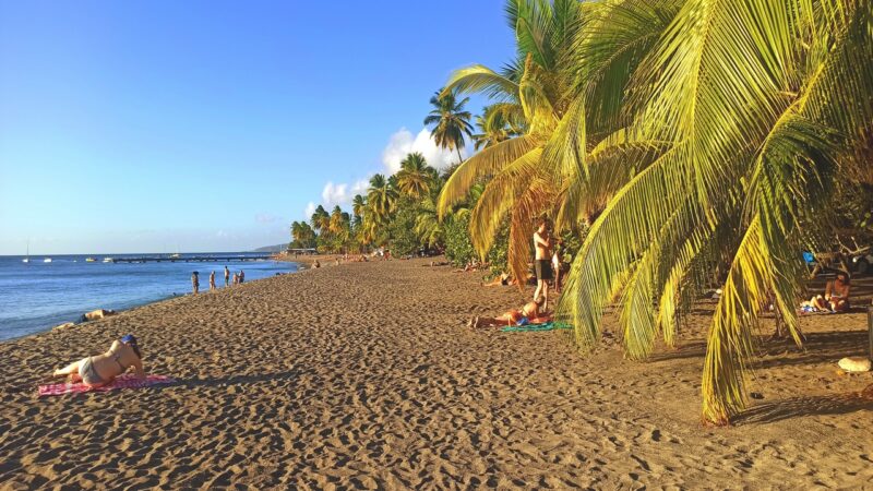 rejsy na karaibach,morskie szwedaki