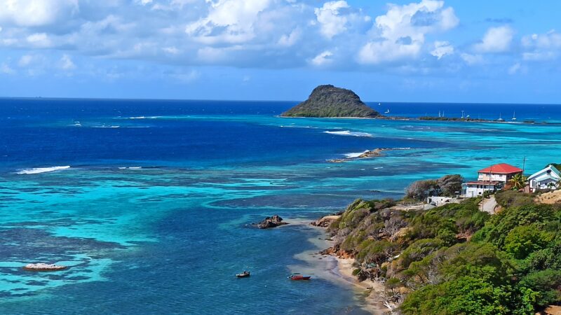 rejsy na karaibach,morskie szwedaki