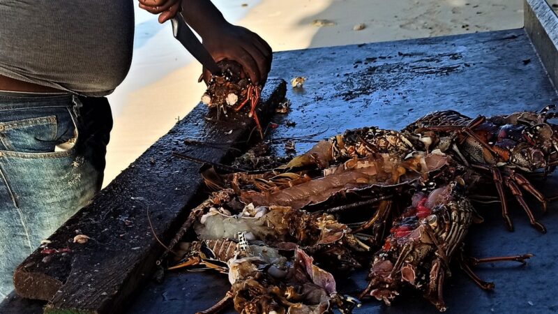 rejsy na karaibach,morskie szwedaki