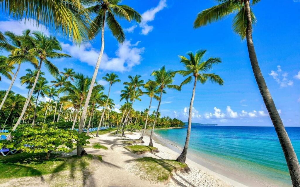 morskie szwedaki,rejsy na karaibach,rejsy jachtem,