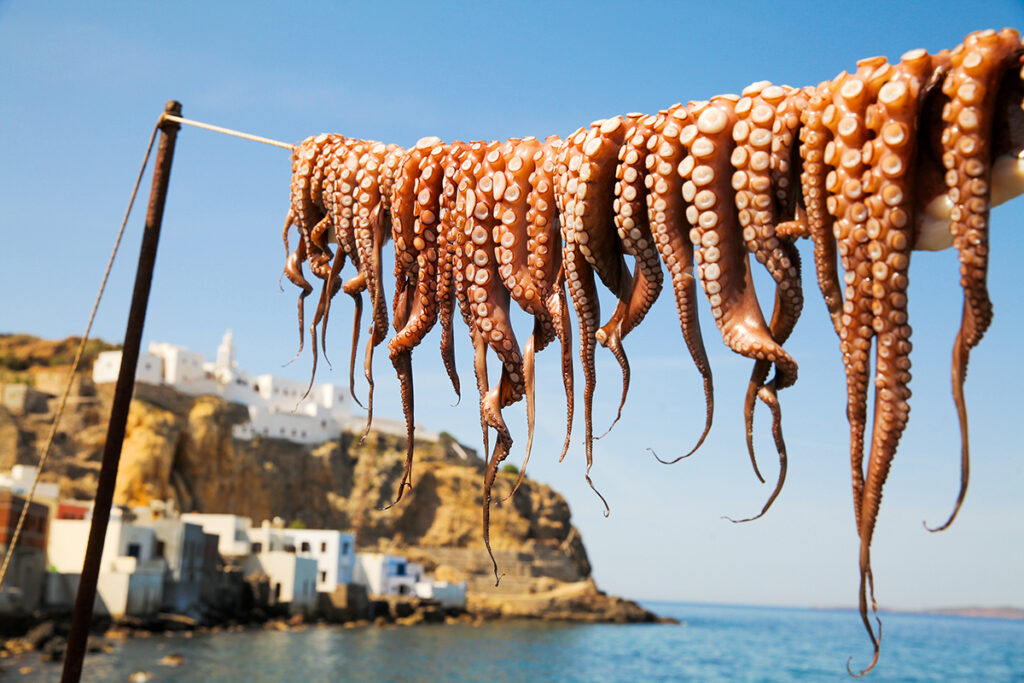 morskie szwedaki,rejsy w grecji
