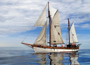 morskie szwedaki,bryza h