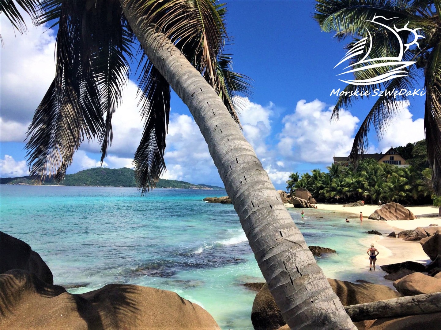 morskie szwedaki,rejsy morskie,rejsy stażowe,rejsy kapitanskie,rejsy weekendowe