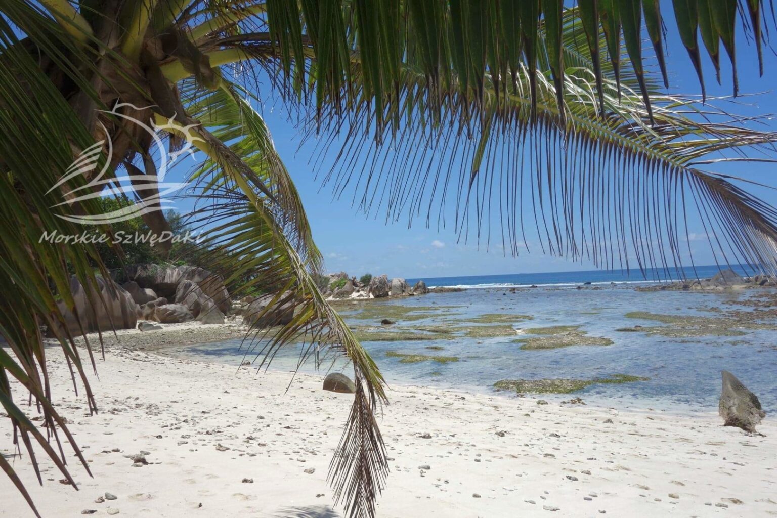 morskie szwedaki,rejsy morskie,rejsy stażowe,rejsy kapitanskie,rejsy weekendowe