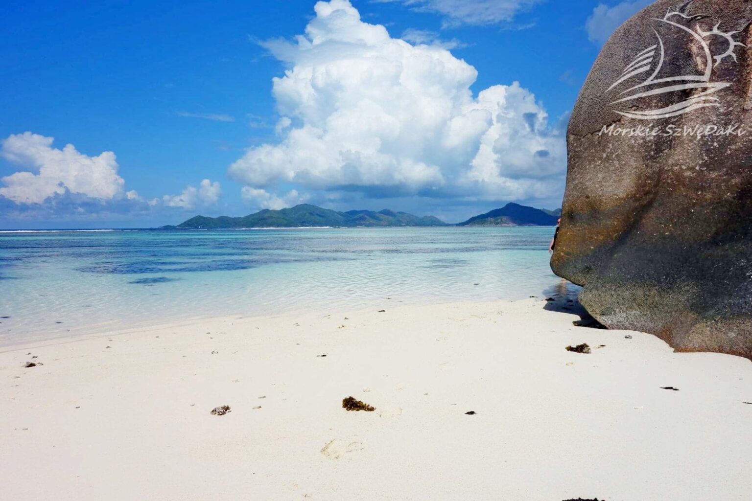 morskie szwedaki,rejsy morskie,rejsy stażowe,rejsy kapitanskie,rejsy weekendowe