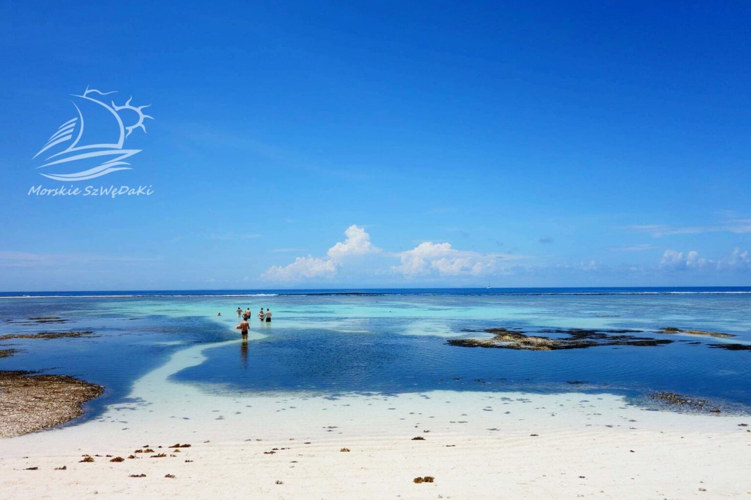 morskie szwedaki,rejsy morskie,rejsy stażowe,rejsy kapitanskie,rejsy weekendowe