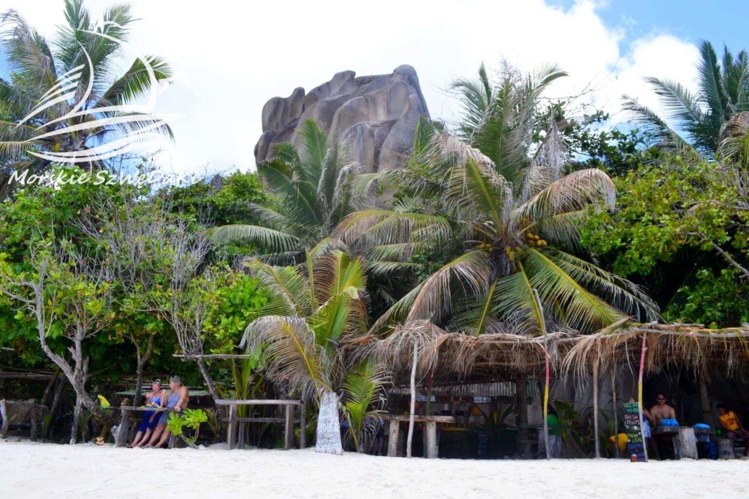 morskie szwedaki,rejsy morskie,rejsy stażowe,rejsy kapitanskie,rejsy weekendowe