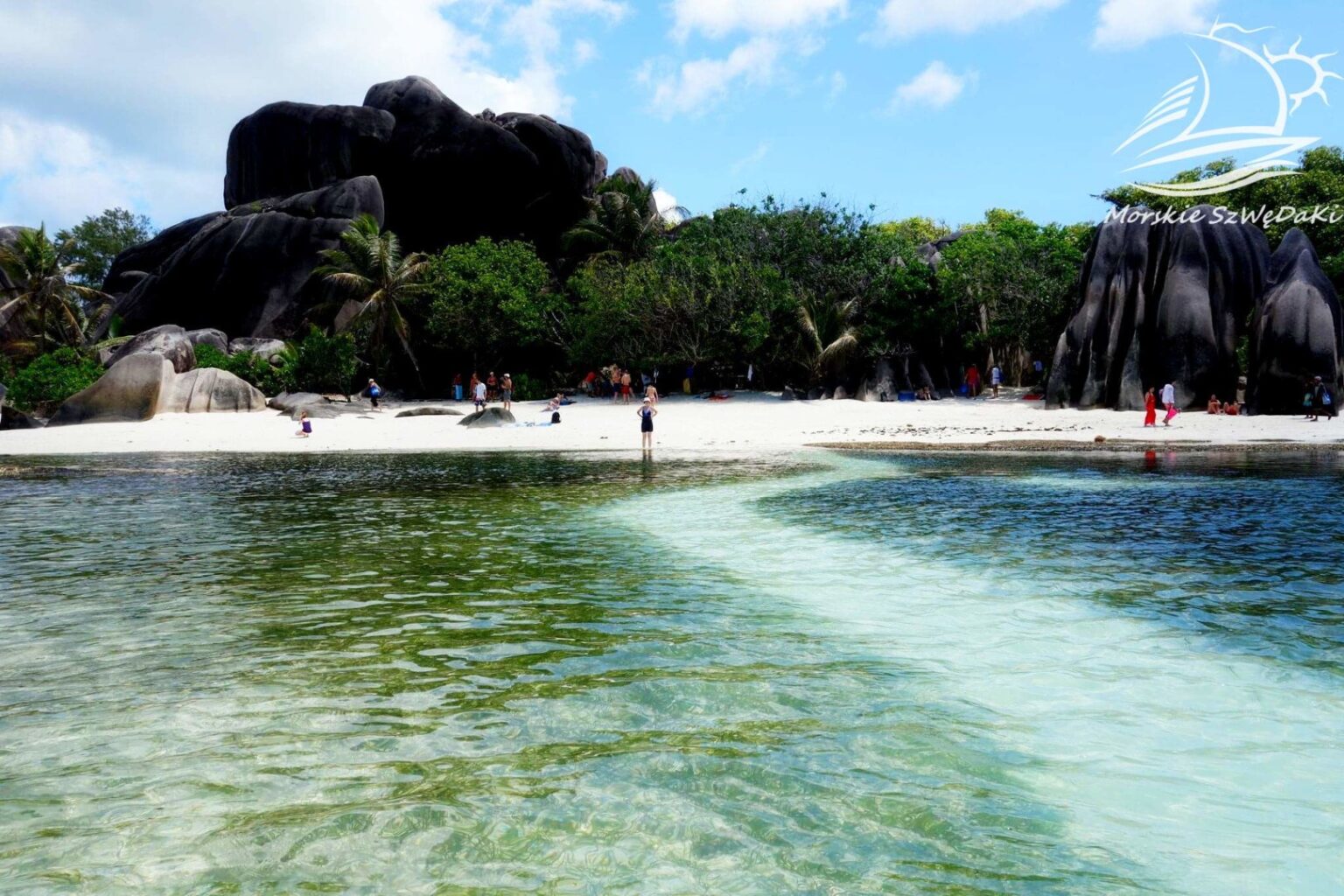 morskie szwedaki,rejsy morskie,rejsy stażowe,rejsy kapitanskie,rejsy weekendowe