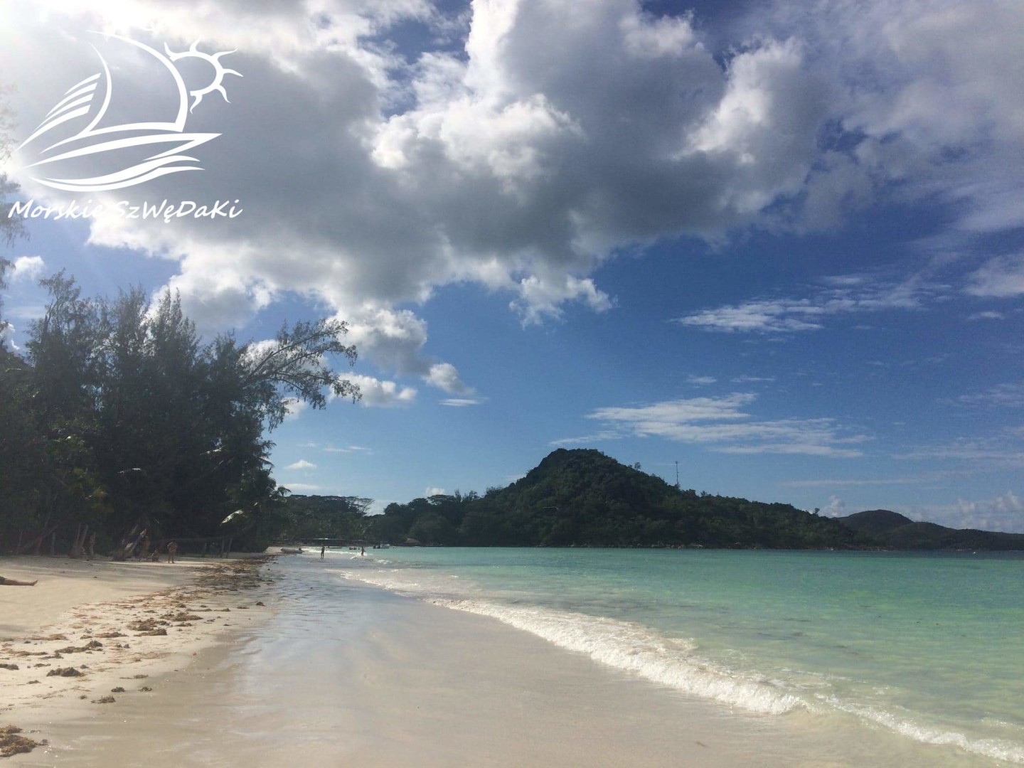 morskie szwedaki,rejsy morskie,rejsy stażowe,rejsy kapitanskie,rejsy weekendowe