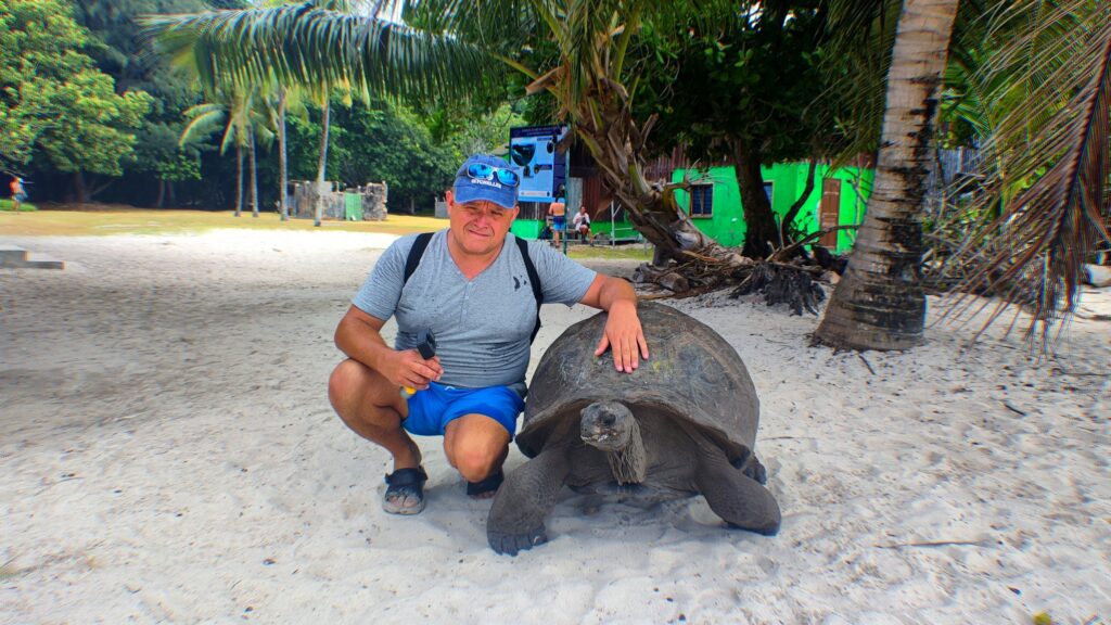 morskie szwedaki,żółwie na seszelach