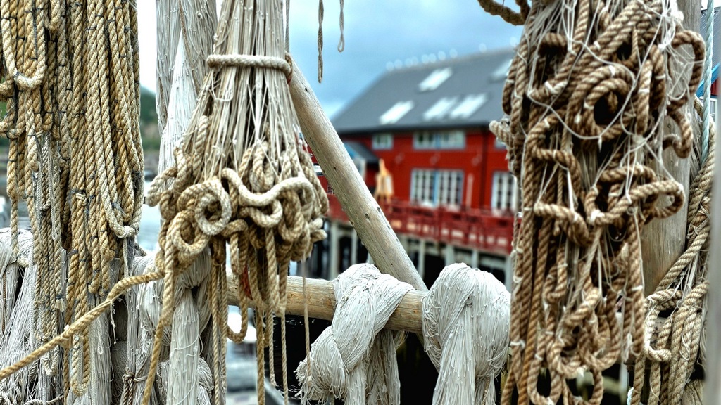 norwegia,rejsy w norwgii,morskie szwedaki