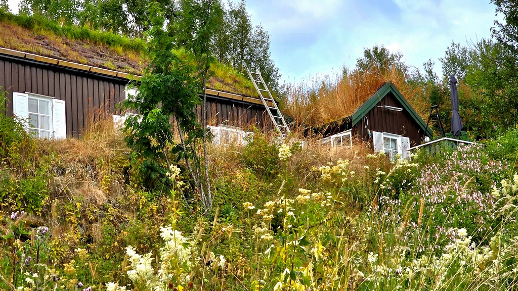 norwegia,rejsy w norwgii,morskie szwedaki