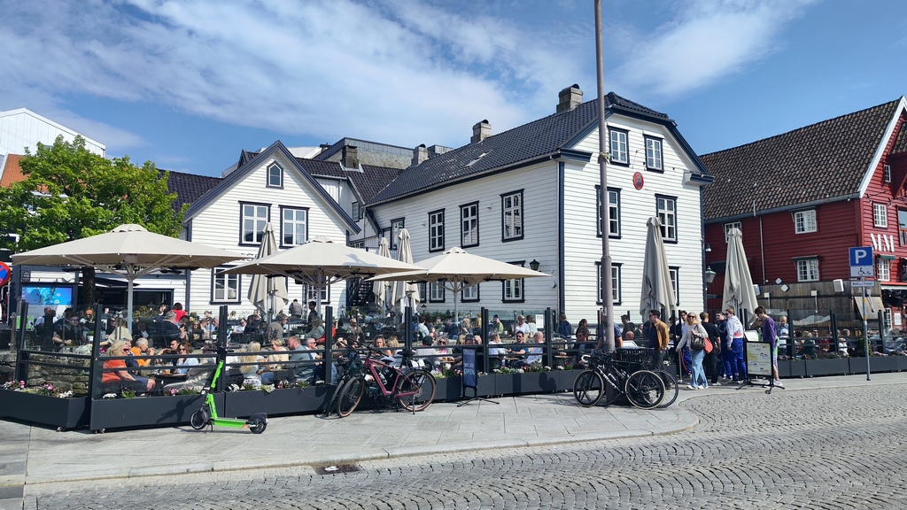 morskie szwedaki,norwegi,rejsy w norwegi