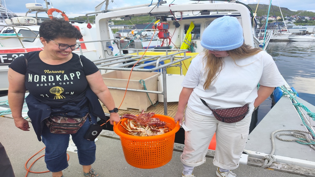 nordkapp,morskieszwedaki,rejsy w norwegi