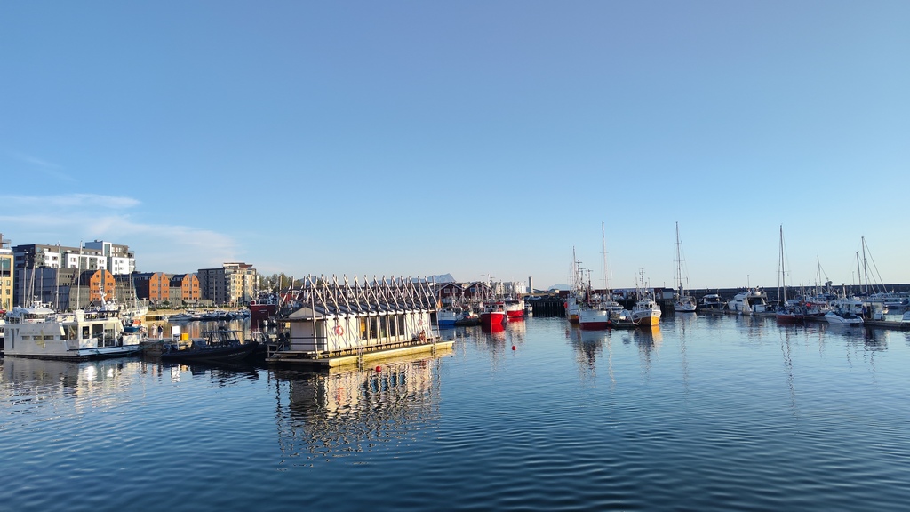 bodo,morskie szwedaki,rejsy w norwegii