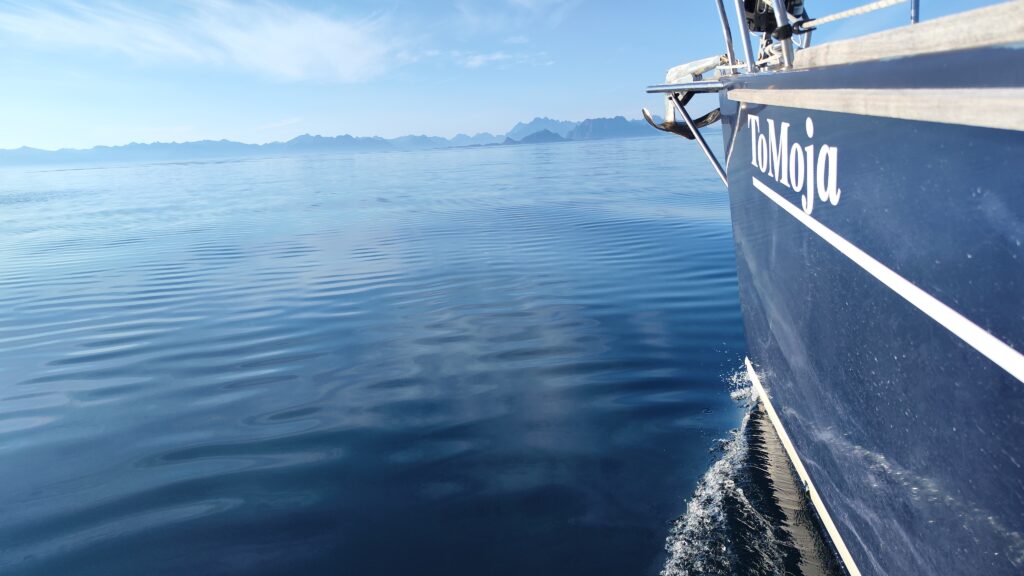 to moja na wodzie,morskie szwedaki