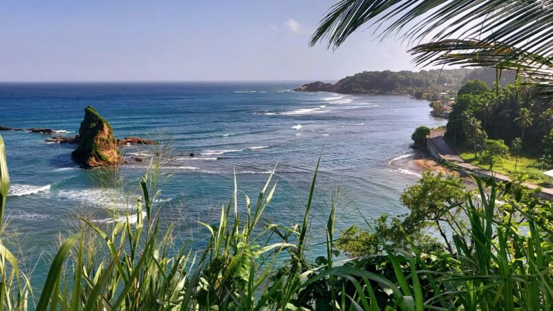 morskie szwedaki,rejsy na karaibach,szkolenia manewrowr,rejsy stażowe