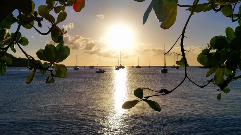 morskie szwedaki,rejsy na karaibach,szkolenia manewrowr,rejsy stażowe