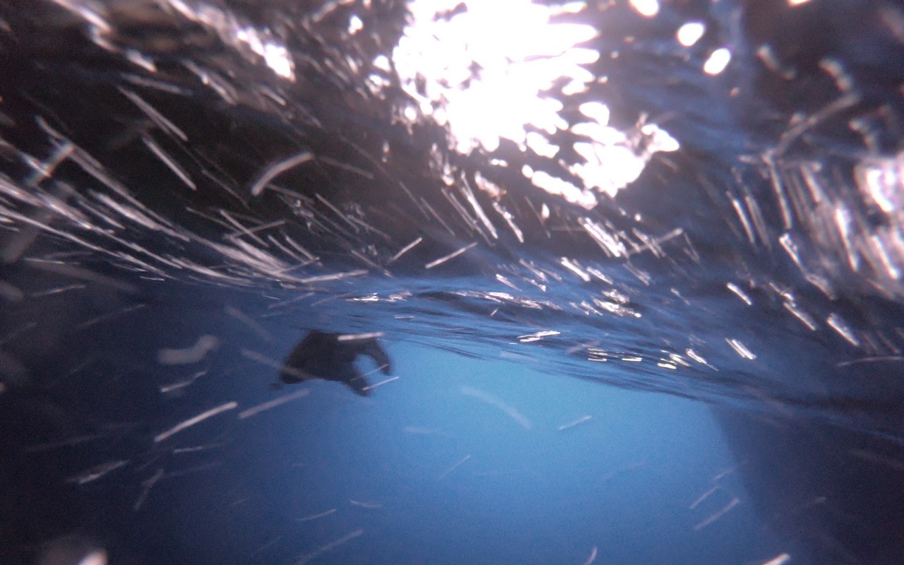 rejsy na majorce,morskie szwedaki,rejsy jachtem,rejsy stażowe,