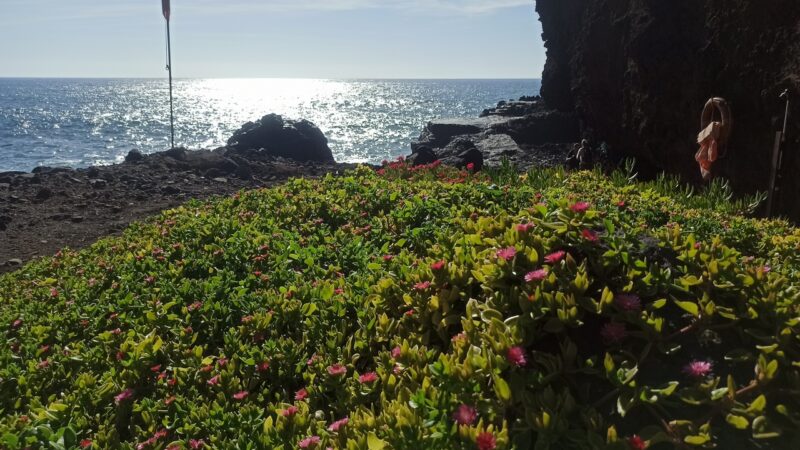 Morskie szwedaki,rejsy na teneryfie