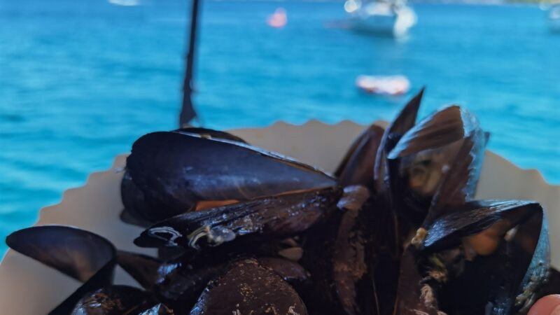 morskie szwedaki,rejsy w chorwacji