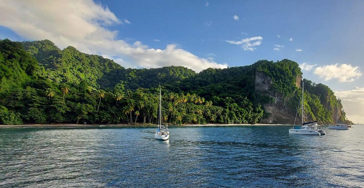 karaiby,morskie szwedaki