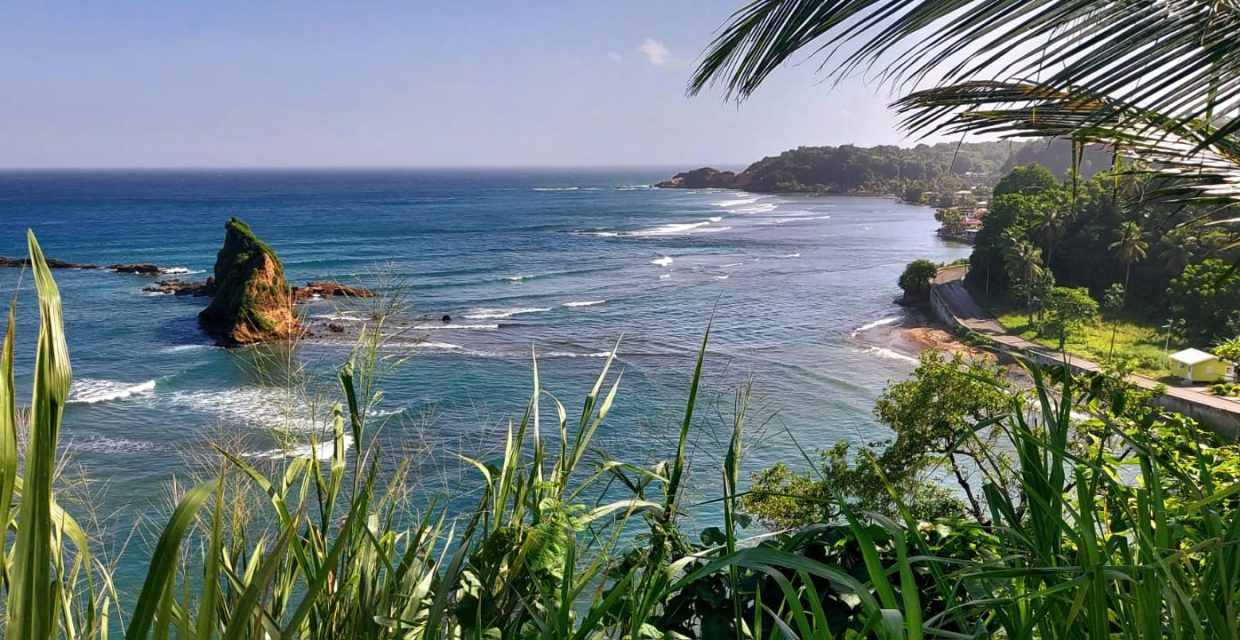 karaiby,morskie szwedaki