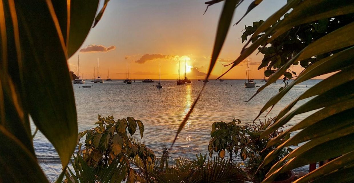 karaiby,morskie szwedaki