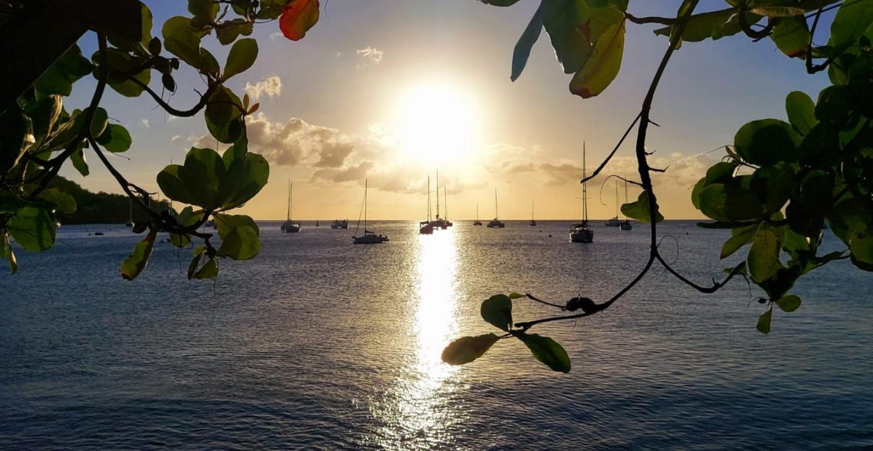 karaiby,morskie szwedaki