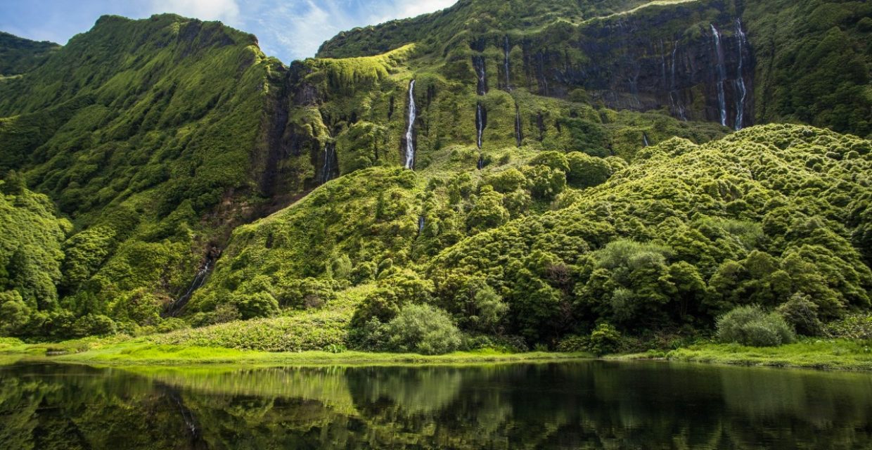 azory,morskie szwedaki