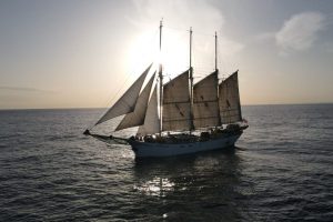 STS KAPITAN BORCHARDT